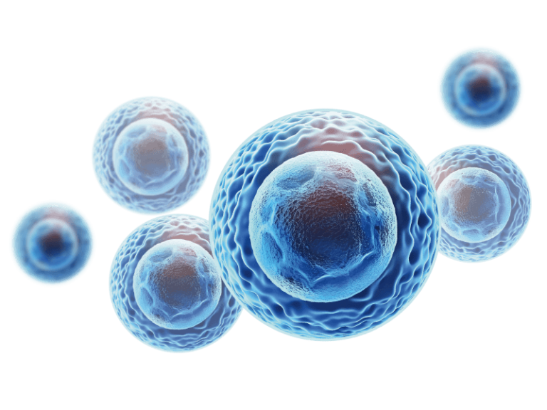 mbst-mexico-nosotros